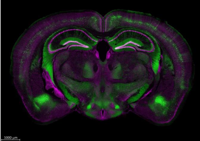 1749518520602305.jpg 360截图20250610091931147.jpg