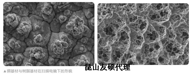 凉山蔡司凉山扫描电镜