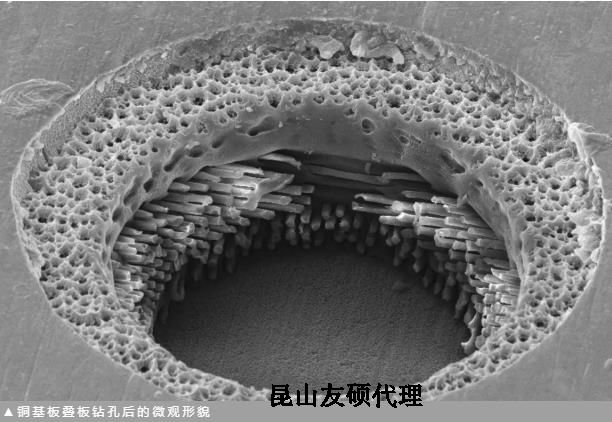 凉山蔡司凉山扫描电镜